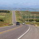 Image for article titled I-95 Diagnosed With Highway Cancer
